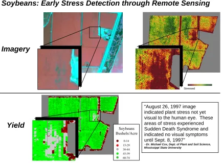 Figure 5.  Example of how spectral reflectance from remotely sensed imagery has been used successfully in agriculture to identify areas of crop canopy stress