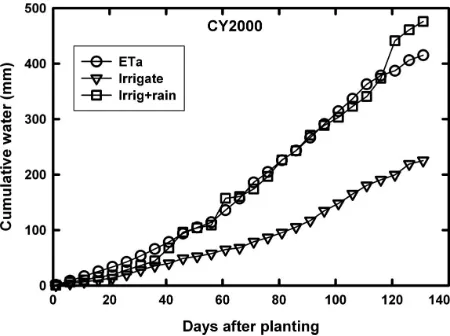 Figure 1 shows the cumulative ETaThese three figures show that each crop year has a vergence and divergence to the ETyearly rainfall patterns increase the difficulty of 2005 (Figure 3)
