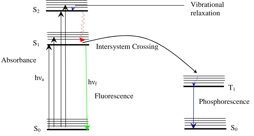 Figure 1.1 Jablonski diagram. 