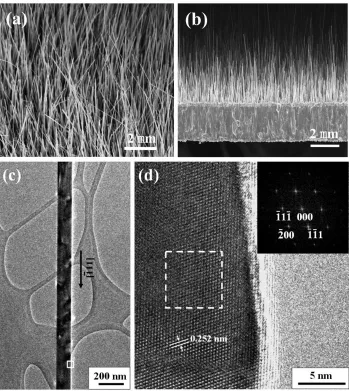 Figure 2.6: (a) SEM image of a CuO nanowire array grown by direct oxidation of Cu foil