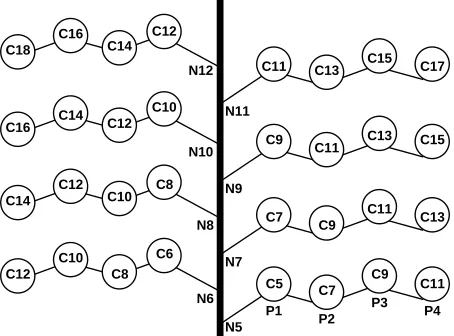Figure 1. Cotton plant depicting fruiting pattern for main-stem nodes five through 12