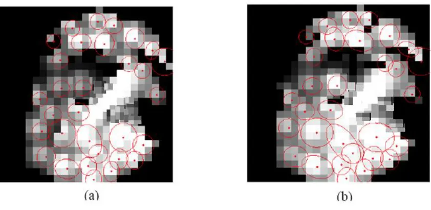 Figure 4. Weather images approximated as mixture of Gaussian envelopes in two consecutive images (starting from (a) to (b)) 