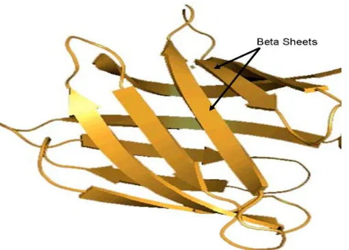 Figure 4. Helix Secondary Structure of the protein 1H1J 