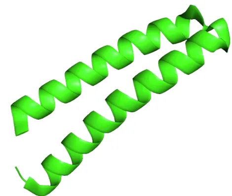 Figure 5: A beta sheet in protein 1BKZ 