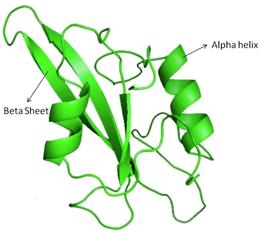 Figure 6: Tertiary structure showing alpha helix and beta sheet  