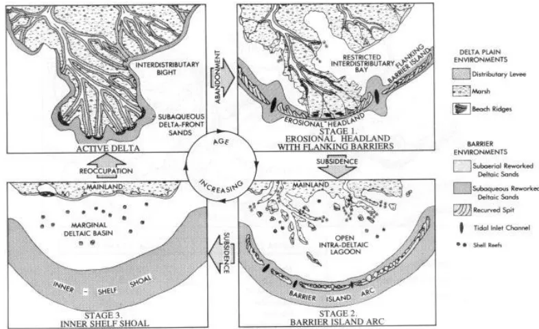 Figure 6. Three-Stage Transgressive Barrier Island model (modified Penland and Boyd, 1981) 