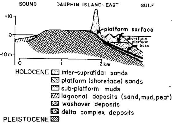 Figure 8. Interpreted geologic cross-section, north to south, through Dauphin Island, AL (Otvos, 1985 a) 