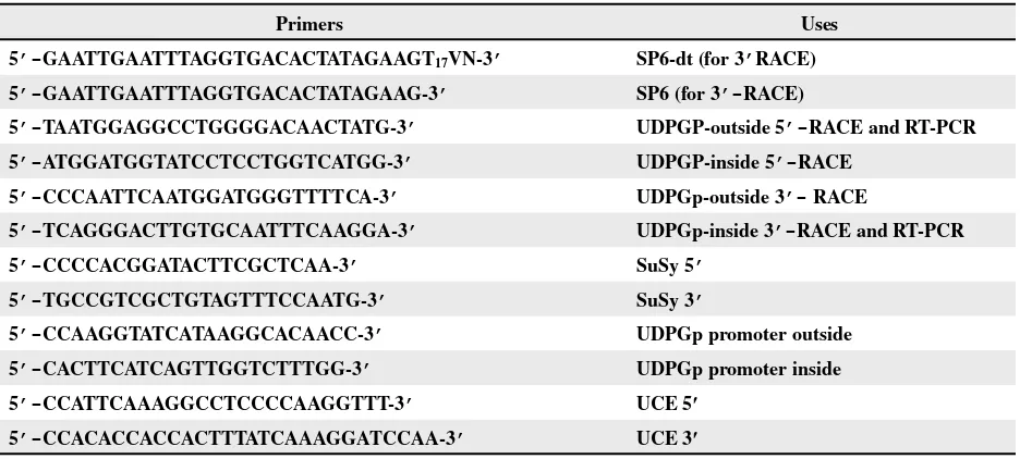 Table 1.  Primers used in the isolation of UDPGp cDNA gene and in the evaluation of gene expression