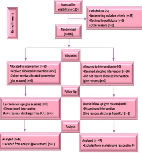 Figure 1. Flowchart of the design, groups, and participants in the study  
