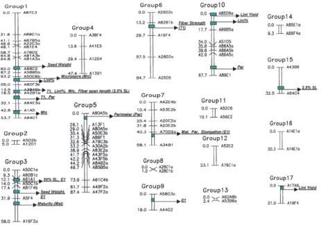 Fig. 1. Cotton RFLP linkage map from 119 bulk-sampled plots of F2.3 (MD5678 × ‘Prema‘) population with 81 loci, 17linkage groups, covering 700.7 cM of the genome