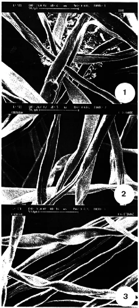 Table 3. The effect of different sample preparations onmeasurements of the number of molecules of methyleneblue adsorbed to the monolayer of fibers (Ng), and ofthe specific surface areas determined by methylene blueadsorption (SMB), for fibers of  B-26 and C-36conditioned at 21±1°C with 65±2% relative humidity.