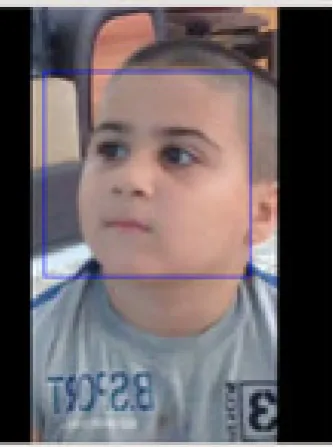 Figure 1. Viola Jones algorithm for face detection