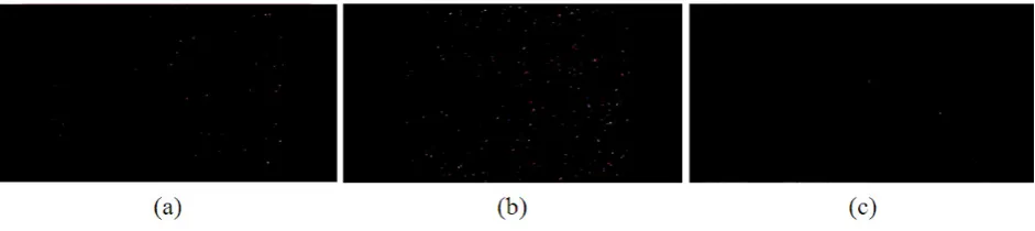 Figure 4: The images achieved from the camera sensor installed on the robot vertical axis
