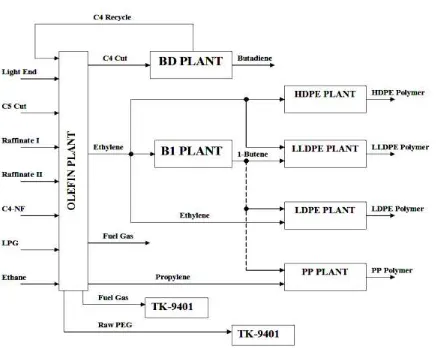 Figure 2: Brief process diagram of Amirkabir petrochemical complex  