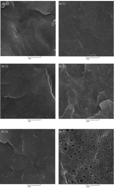 Figure 3. SEM images of samples a)before branching and b) after branching for 1- 10, 2- 20 and 3- 30 wt% of PB-1.