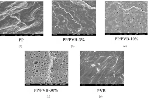 Figure 5. SEM images of fractured surfaces of PP, PVB and PP/PVB blends: (a) PP, (b) PP/PVB-3%, (c) PP/PVB-10%, (d) PP/PVB-30%, and (e) PVB