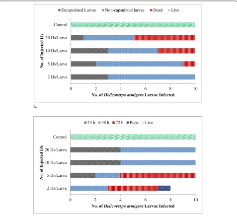 Fig. 4 Encapsulation responses of Helicoverpa armigera infected with Steinernema abbasi-Xenorhabdus indica complex