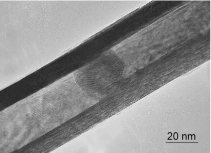 Fig. 15.  TEM image of the MoS2 nanotube, i.e., “mama-tube” (Courtesy dr. Maja Remškar, Jožef Stefan Institute, Ljubljana, Slovenia)