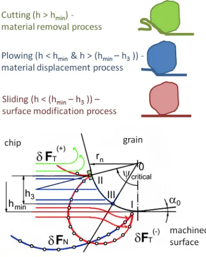 Fig. 3.  Model of the grinding process with force field acting  on the rounding of a grain