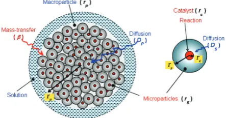 Figure 1. Elementary processes in micro- and macro-particles of polymer.