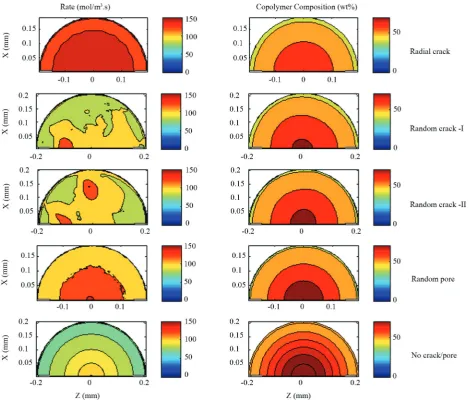Figure 10. Contour plots of the rate of polymerization (mol/m3.s) and propylene composition in copolymer (wt%) for different crack patterns (time=300 s).