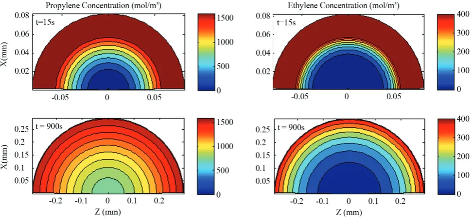 Figure 1. Different shapes of catalyst particle (cases I, II and III). 
