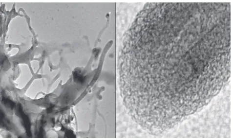 Figure 5. Formation of polymerization active sites by ab-sorption of MAO on oxidized multiwall carbon nanotubes (MWCNT) followed by adding a zirconocene