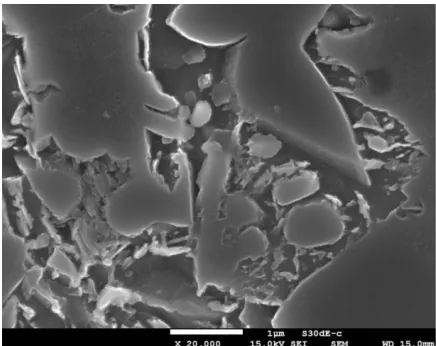 Fig. 1.  SEM picture of microstructure of the RLH specimen 