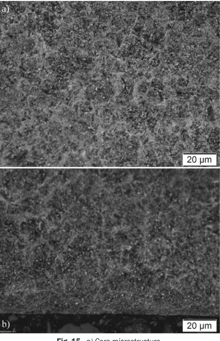 Fig. 15.  a) Core microstructure,  