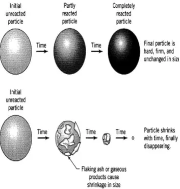 Figure 1. Cylindrical particle shape 