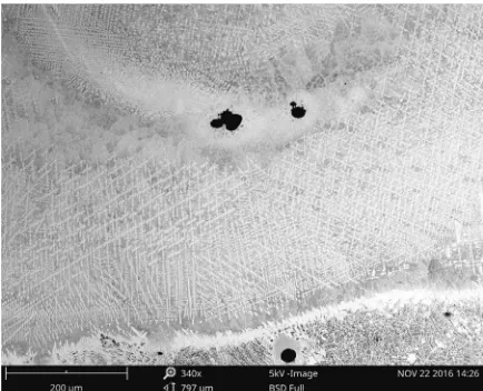 Fig. 7.  Low magnification SEM image showing the non-uniformity in the microstructure on the cross-section of the SB no