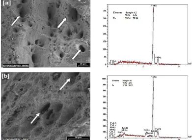 Fig. 12.  SEM fractographs of Cracks near damaged tubes; a) near sample A2 and b) near sample B2