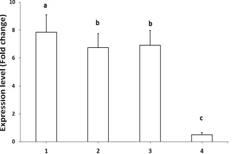 Table 2.   Mean ± SD of sperm morphological parameters, DNA integrity, total antioxidant capacity (TAC) in dog fresh semen (Group 1),   frozen-thawed semen (Group 2), frozen semen supplemented with 2.50 mM (Group 3) and 5.00 mM of curcumin (Group 4), respe