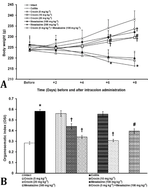 Fig. 1. Effects of separated and combination treatments with crocin and mesalazine on body weight (A) and organosomatic index (B) in acetic acid-induced colitis