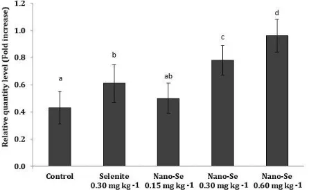 Fig. 2. Level of mRNA expressions of β1-integrin (CD29) in the treatment groups. Different letters indicate significant differences between the groups (p < 0.05)