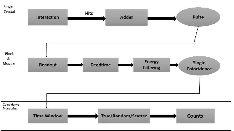 Fig. 4. Comparison of sensitivity measurements with two rings and four rings of detectors