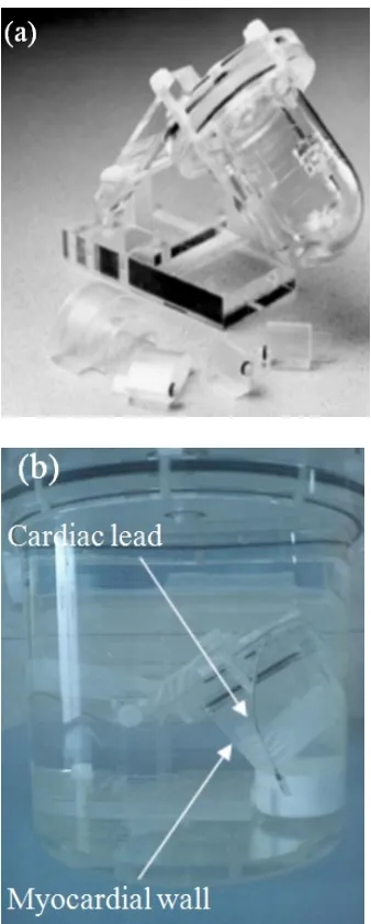 Fig 1. (a): The cardiac phantom (Cardiac InsertTM, Model ECT/CAR/I) used in this study
