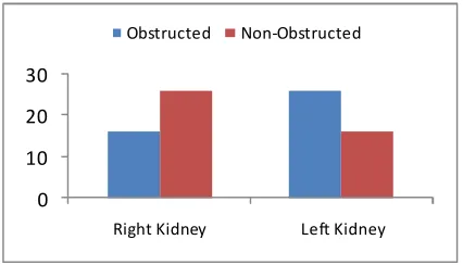 Fig 2. Causes of renal obstruction in the study group. 