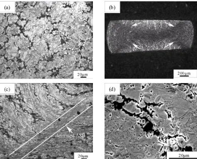 Fig. 4.  The original microstructure and internal damage of QAl9-4; a) original microstructure, b) deformed ASB, c) the partially enlarged drawing of deformed ASB, d) micro-cracks and micro-voids