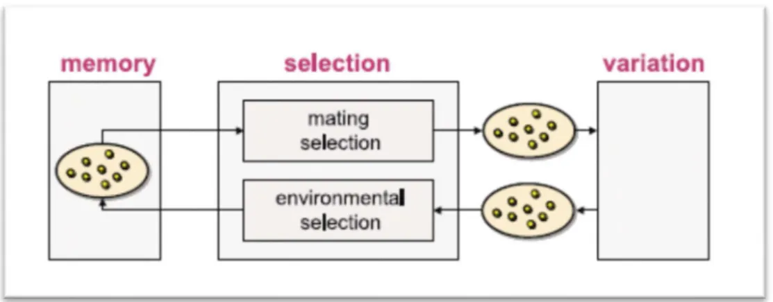 Figure 2.3 Components of a general stochastic search algorithm. 