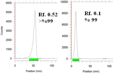 Fig 2. ITLC of [111In]InCl3 (right) and [111In] maltolate (left) in a 10% NH4OAc/methanol (1:1) mixture (left) as mobile phase on Whatman No.2 papers
