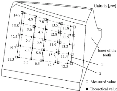 Table 2.  Coordinate values of the measured points on the left surface of tooth 1 in [mm]
