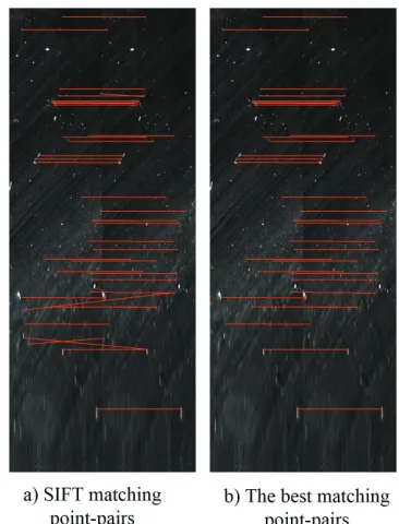 Fig. 10.  Two adjacent dark-field images collected by line-scan 