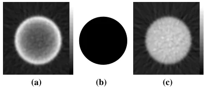 Figure 3. Illustration of reconstruction artifact resulting Reconstructed image without attenuation correction