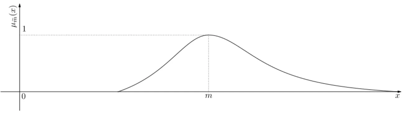 Fig. 2.4: A membership function of the fuzzy LR-number m. e