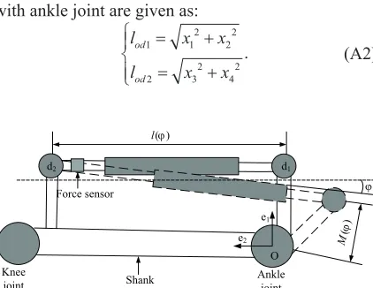Fig. A1.  Geometrical analysis of shank with cylinder
