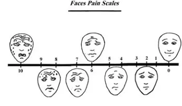 Figure 1. Seven different facial expressions with grading from “0” to “10”