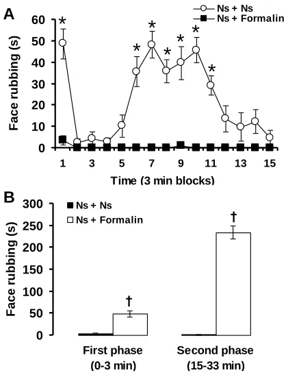 Fig. 2. The effects of verapamil on formalin-induced orofacial pain response in rats. The numbers in the parenthesis show the doses of verapamil (mg) per kg of body weight
