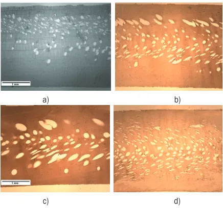 Fig. 7.  Polarized light microscopy: influence of the injection 
