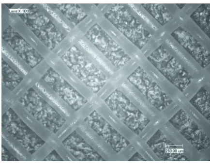 Fig. 1.  The woven-like structure of the first series  
